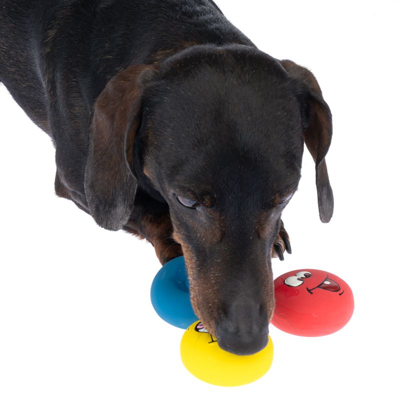 zooplus Basics Emoji Latex Balls Set of 3 (each diameter 5cm)