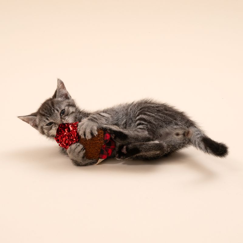 TIAKI Reindeer with Tinsel Ball Cat Toy 1 Toy