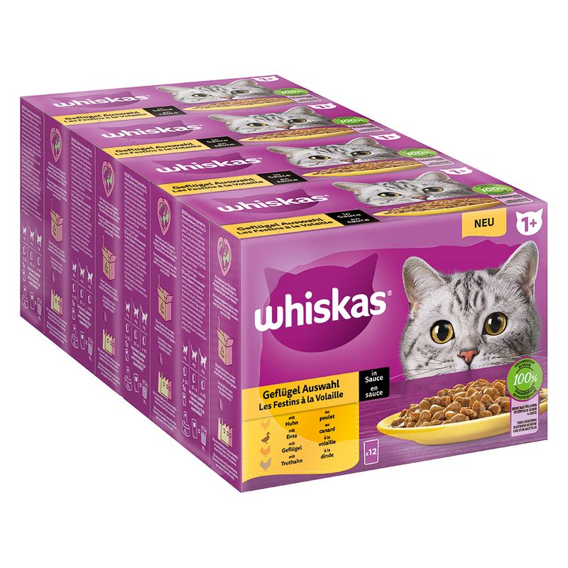 Whiskas 1+ Adult Pouches Saver Pack 48 x 85g Poultry Feasts in Jelly