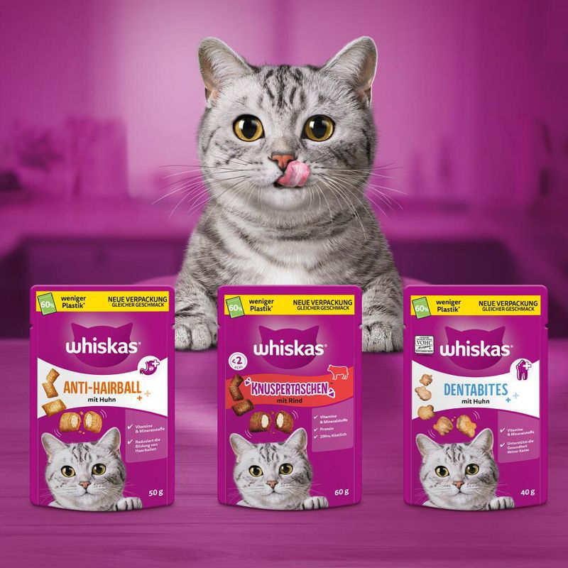 Whiskas Crunchy Pockets Turkey (60g)