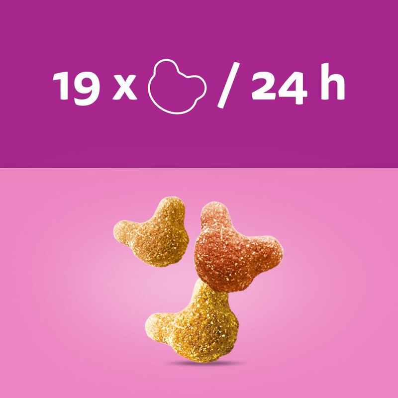 Whiskas Crunch with Chicken, Turkey & Duck 6 x 100g