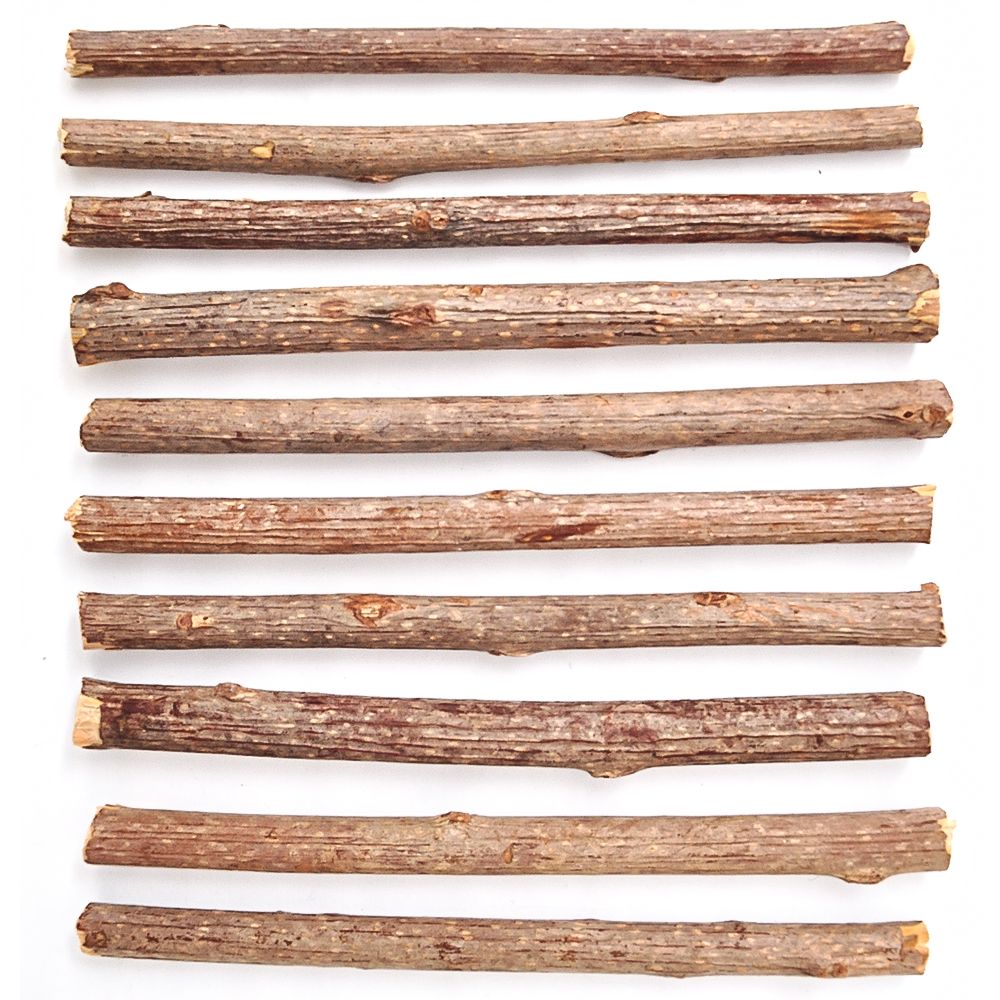 Aumüller Silver Vine Cat Sticks 1 Set (10 Sticks)
