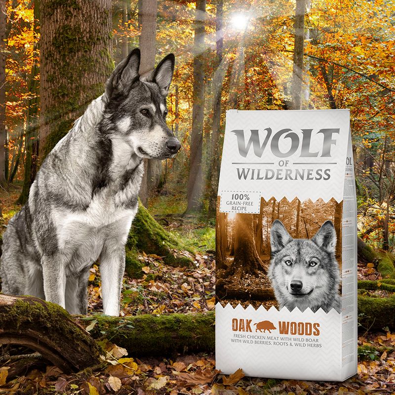 Wolf of Wilderness Adult \