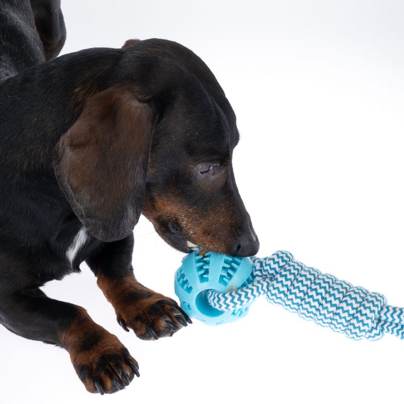 TIAKI Rope with TPR Ball 1 Toy