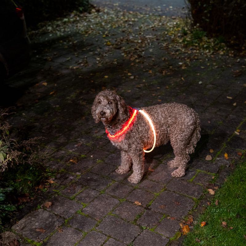 Nomad Tales Spirit USB LED Harness One Size: 90cm (max. Chest Circumference)