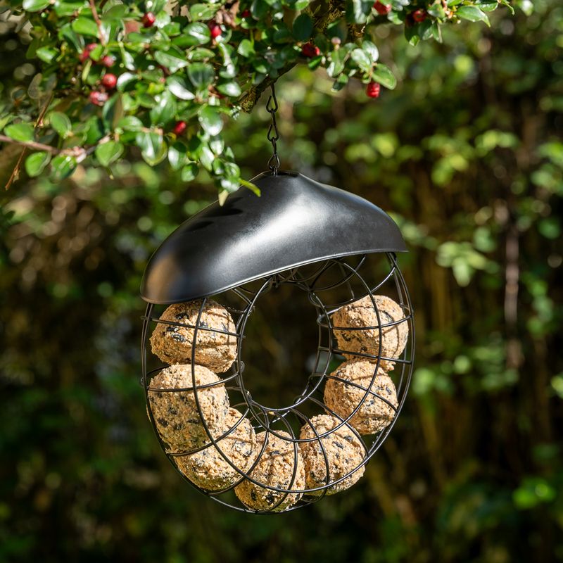 TIAKI Metal Suet Ball Ring 23.5 x 8cm (Diameter x H)