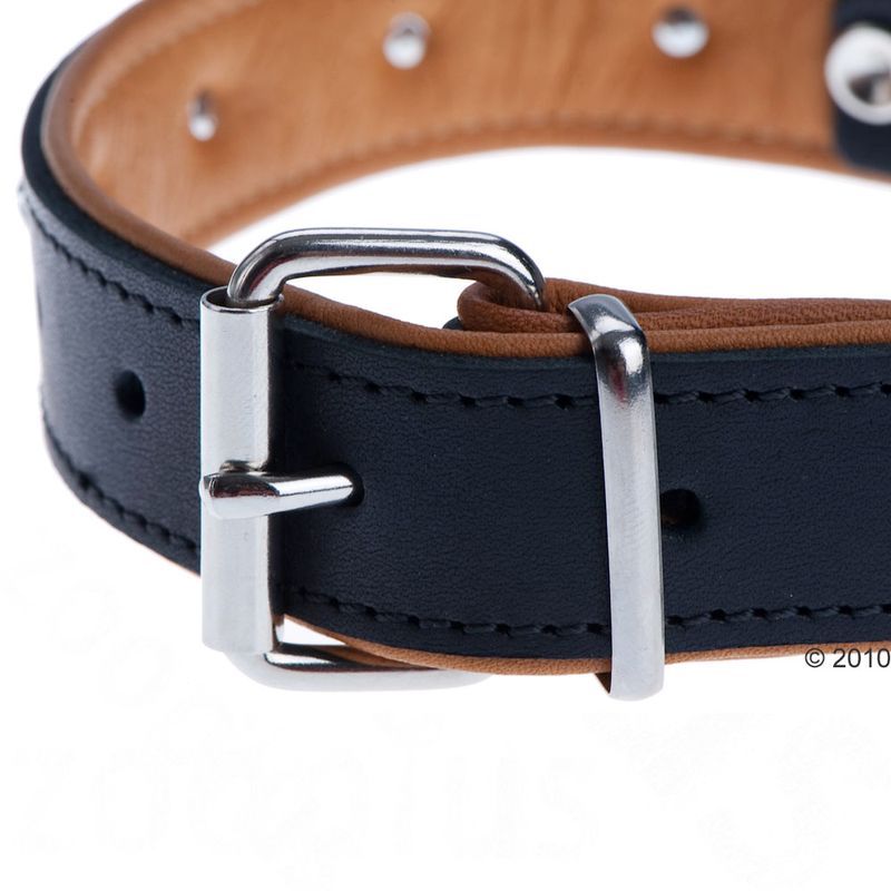 Heim Leather Lead & Collar Set - Stars Set 1