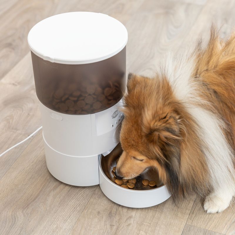 Trixie TX-S Smart Automatic Feeder Up to 3 Litres of Dry Food - White