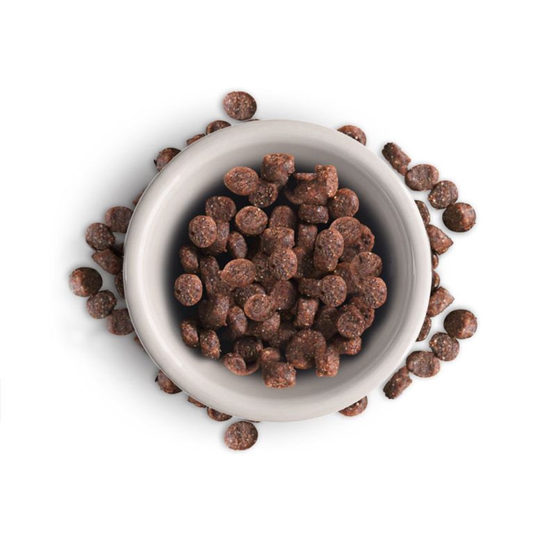 Leonardo Adult Grain-Free with Salmon 1.8kg