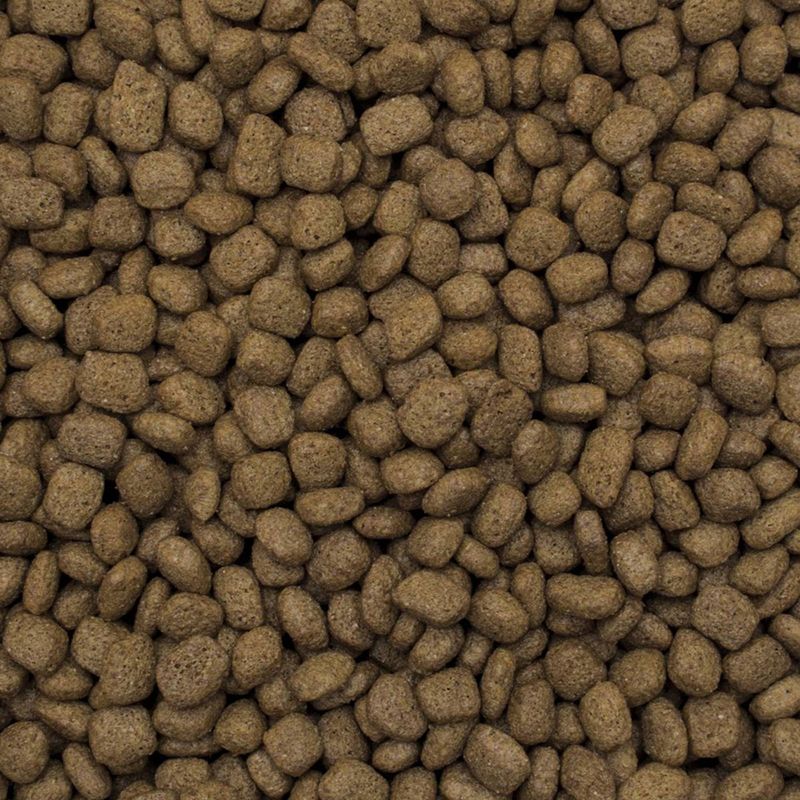 Tropidog Premium Junior Large Turkey & Rice 12kg