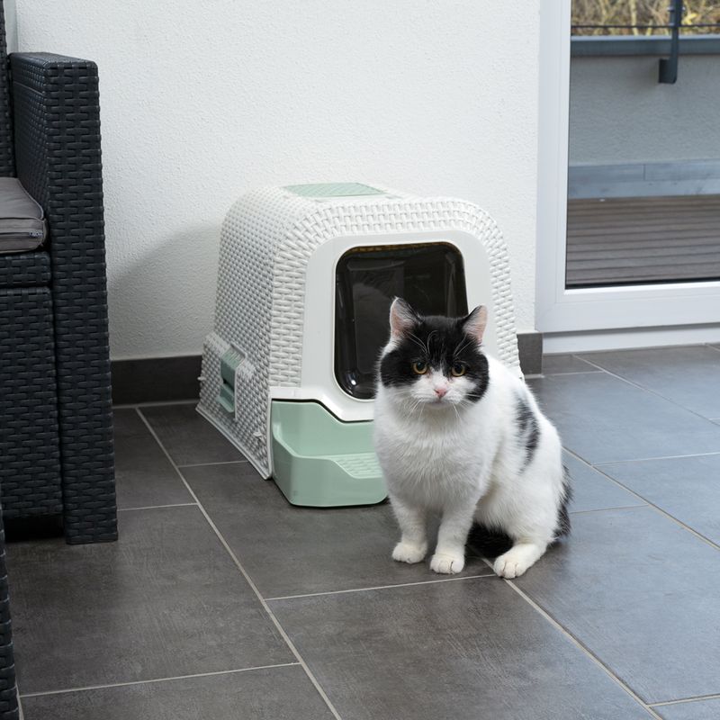 kooa Hooded Litter Draw with Litter Drawer White / Mint