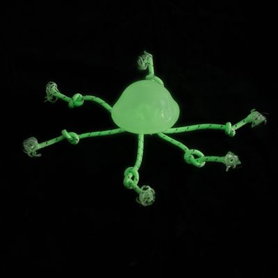 TIAKI Jellyfish Glow in the Dark Dog Toy 1 Toy