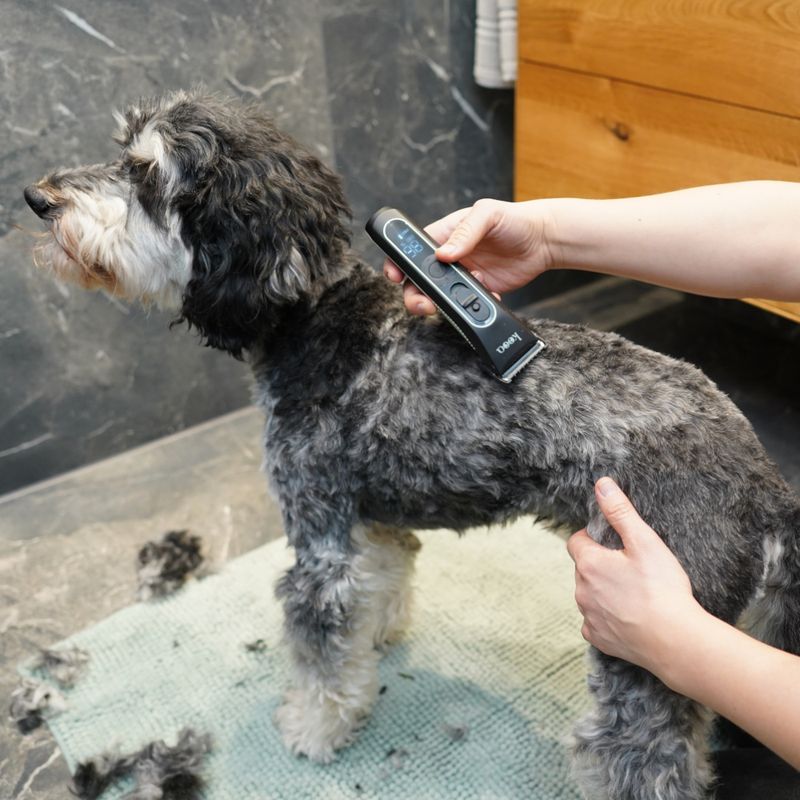 kooa GEAR 3S Battery-Operated Clippers Complete Set