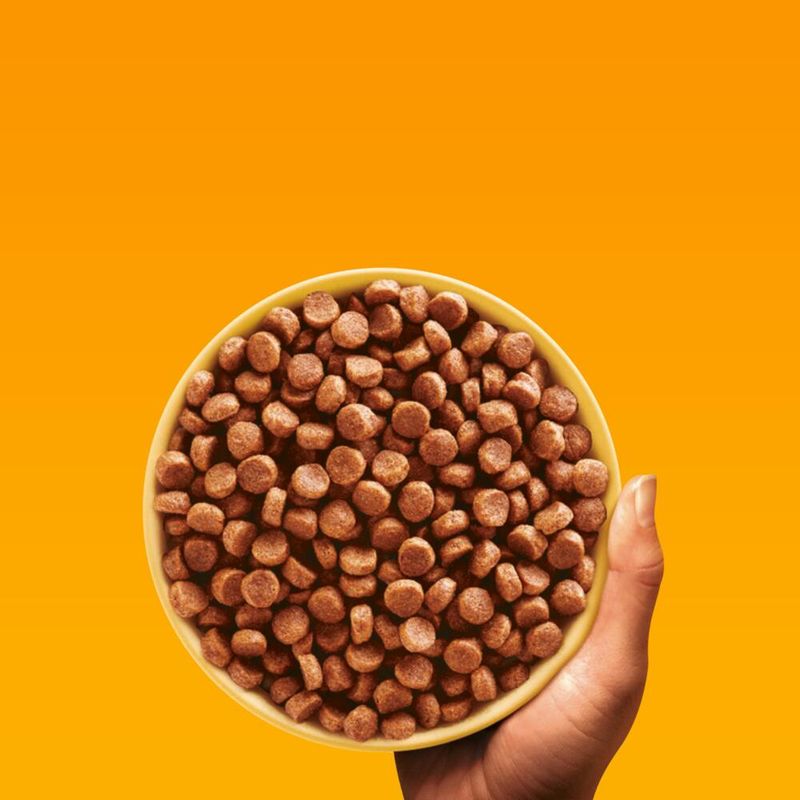 Pedigree Junior Poultry & Vegetables 3kg