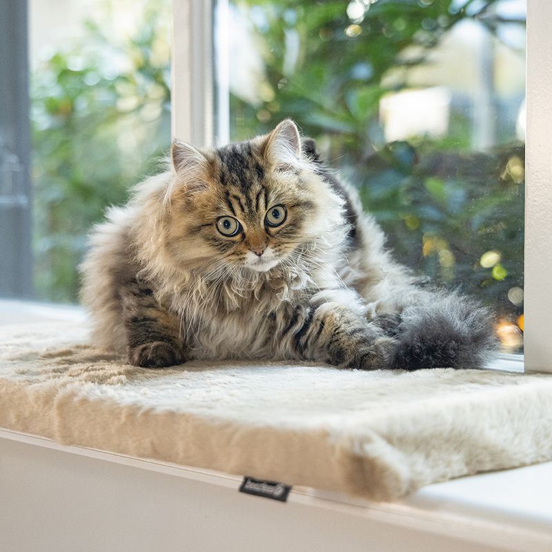 Beeztees Window Sill Cushion Moza 65 x 27 x 3cm (L x W x H)