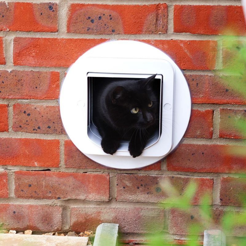 SureFlap Microchip Cat Flap Connect SureFlap Microchip Cat Flap – White (requires SureFlap Hub)