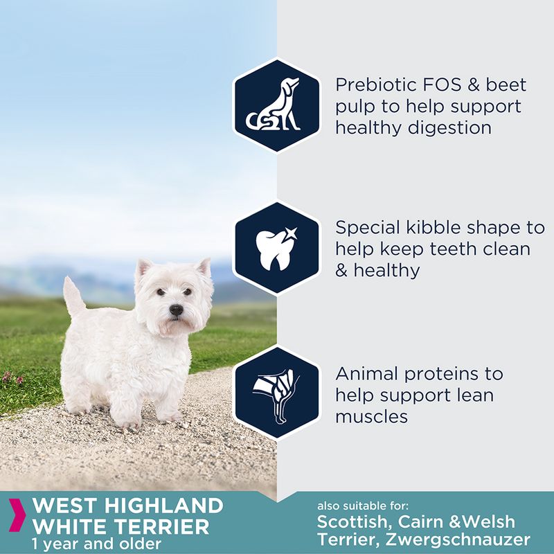 Eukanuba West Highland White Terrier Adult 2.5kg