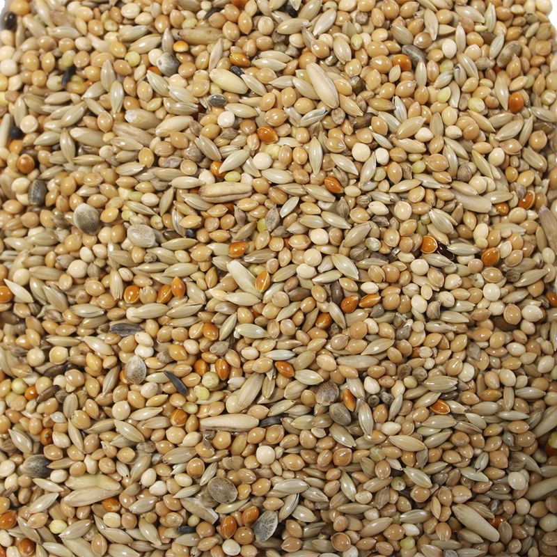 Hugro Exotic Food Basic Mix 700g