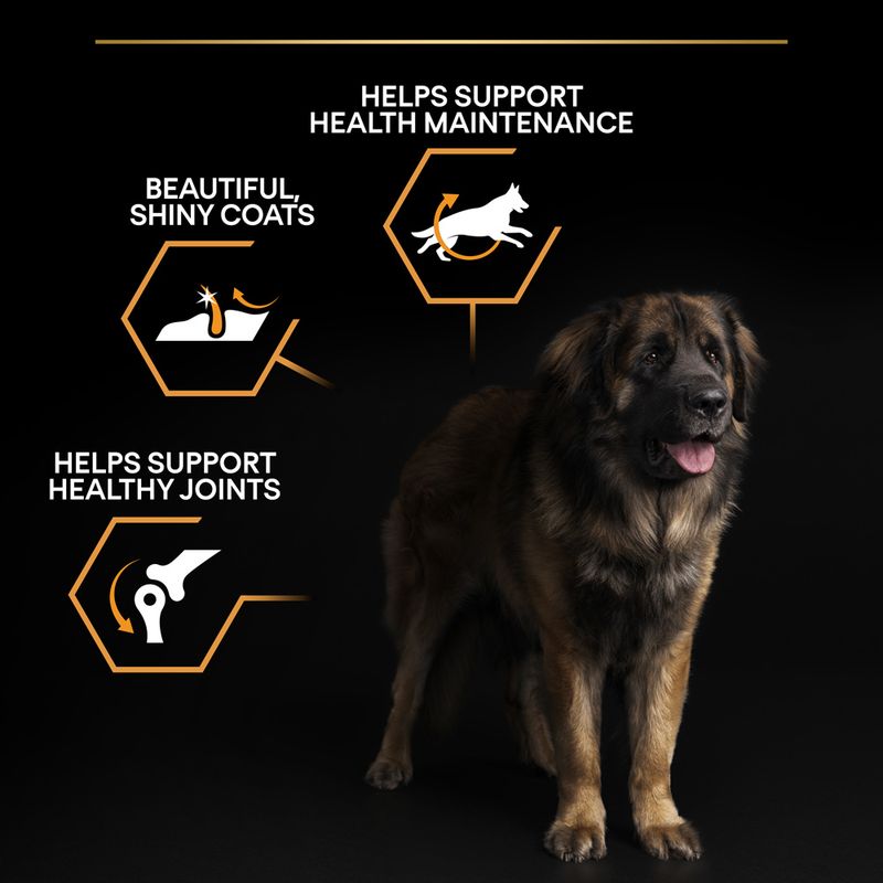 PURINA PRO PLAN Large Robust Adult Everyday Nutrition 14kg