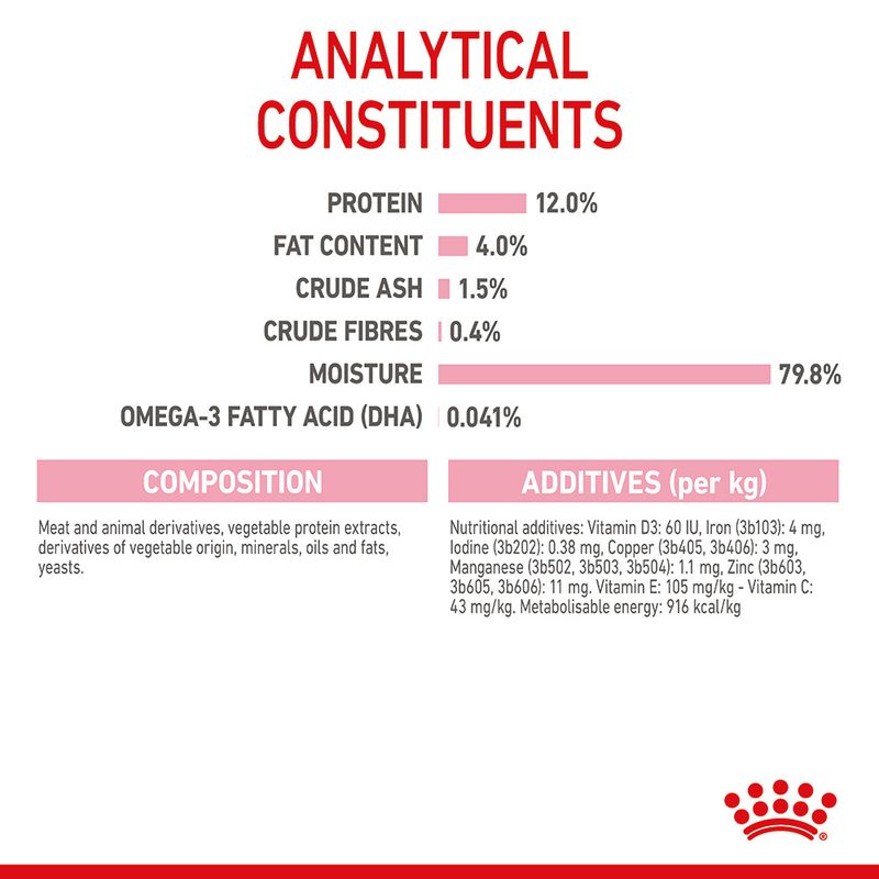 Royal Canin Kitten in Jelly 12 x 85g