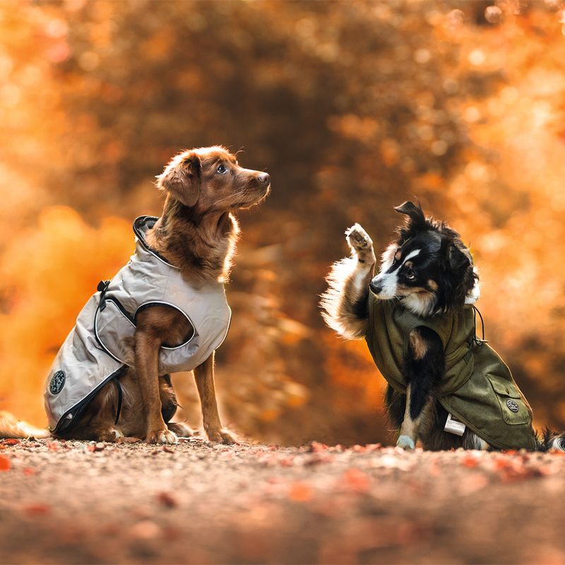 HUNTER Uppsala Dog Coat approx. 40cm Back Length