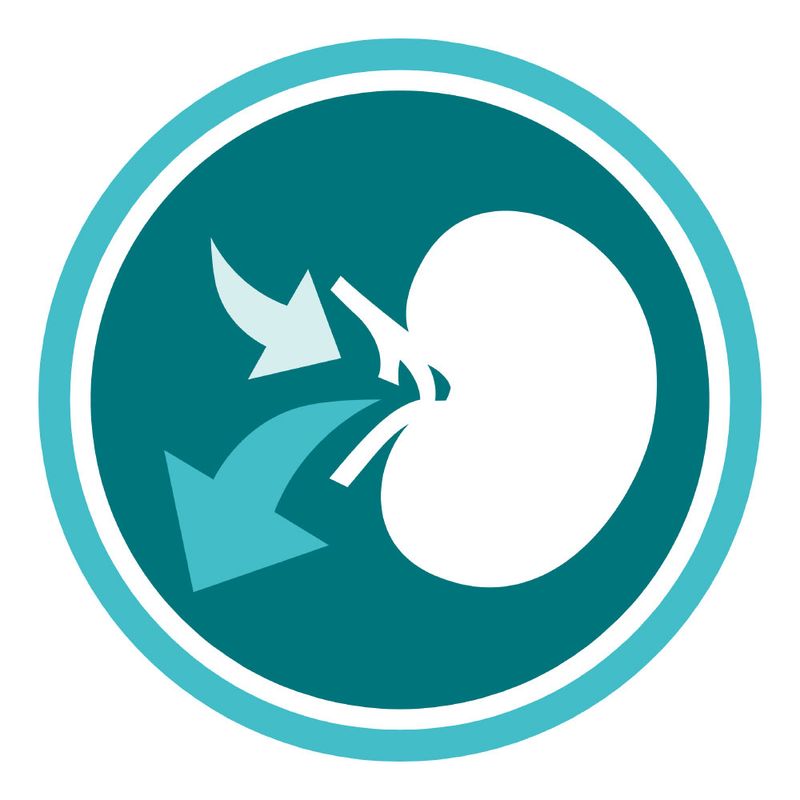 PURINA ONE Urinary Care Chicken 450 g