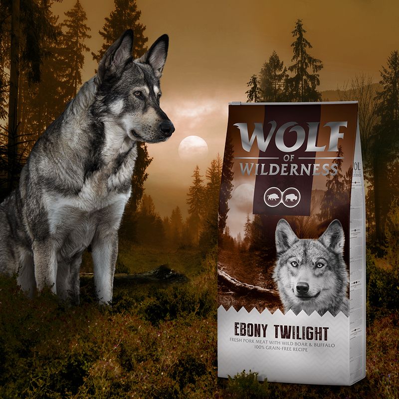 Wolf of Wilderness \