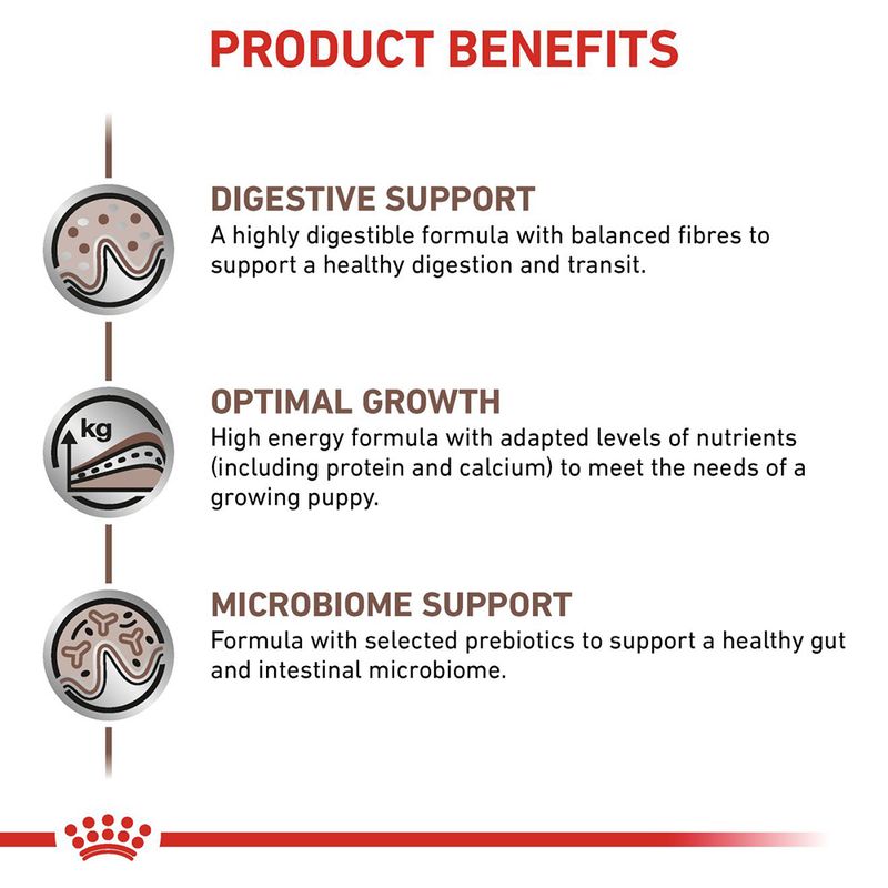 Royal Canin Veterinary Canine Puppy Gastrointestinal Ultra Soft Mousse 12 x 195g