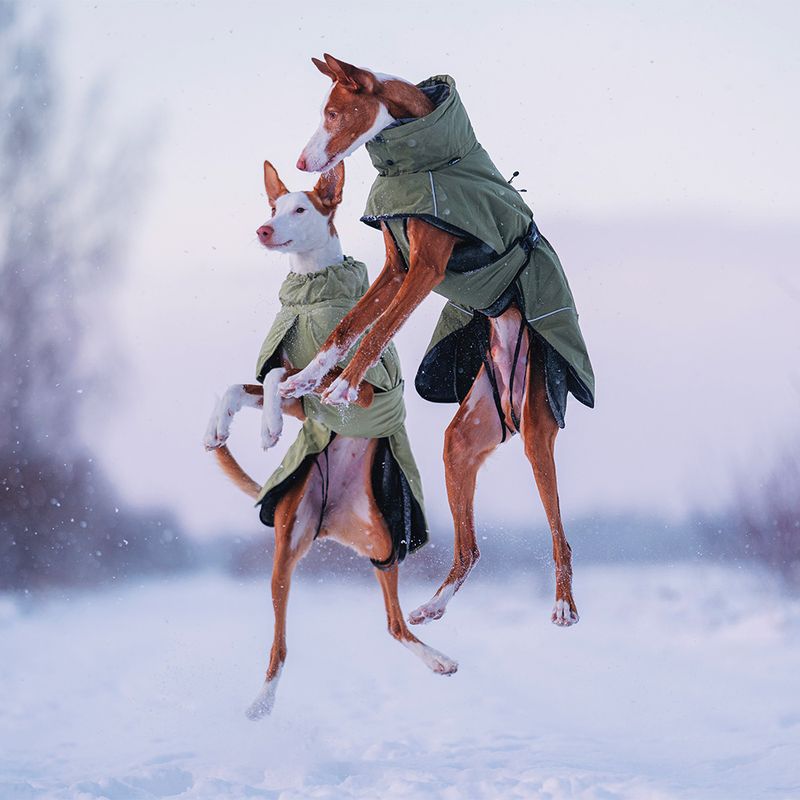 Rukka® Warmup Dog Coat - Olive approx. 80cm back length