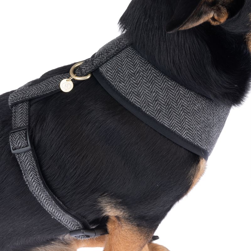 Nomad Tales Calma Harness - Ebony Size XXS: 20 - 30 cm chest circumference