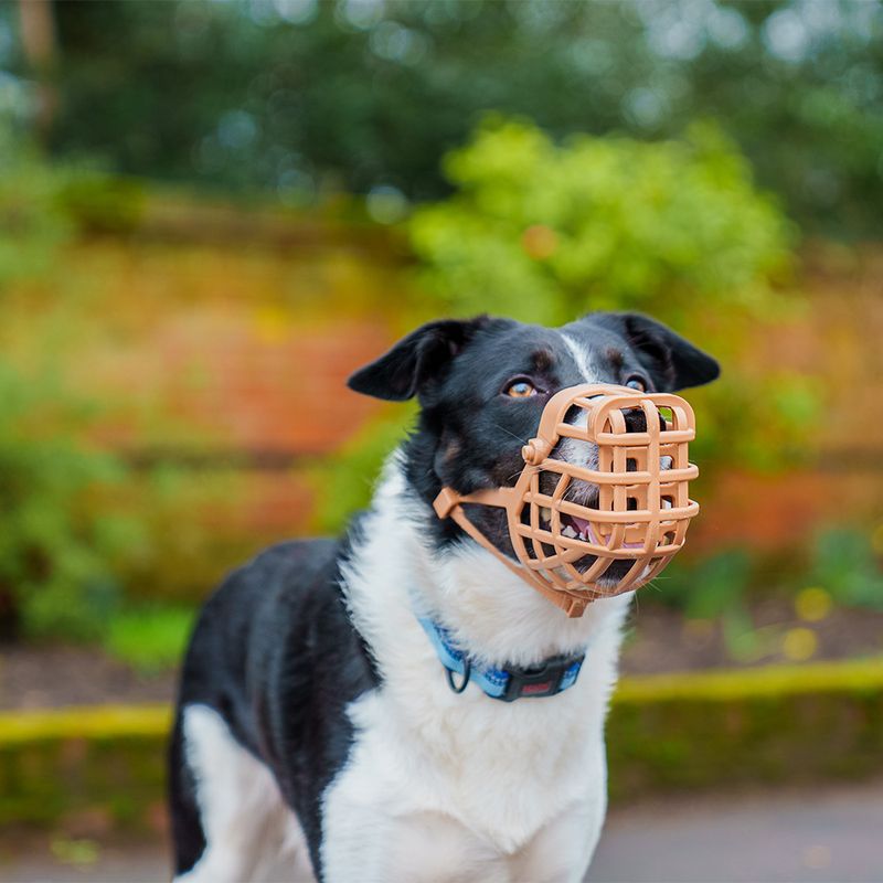 Baskerville Classic Muzzle — Beige Size 5