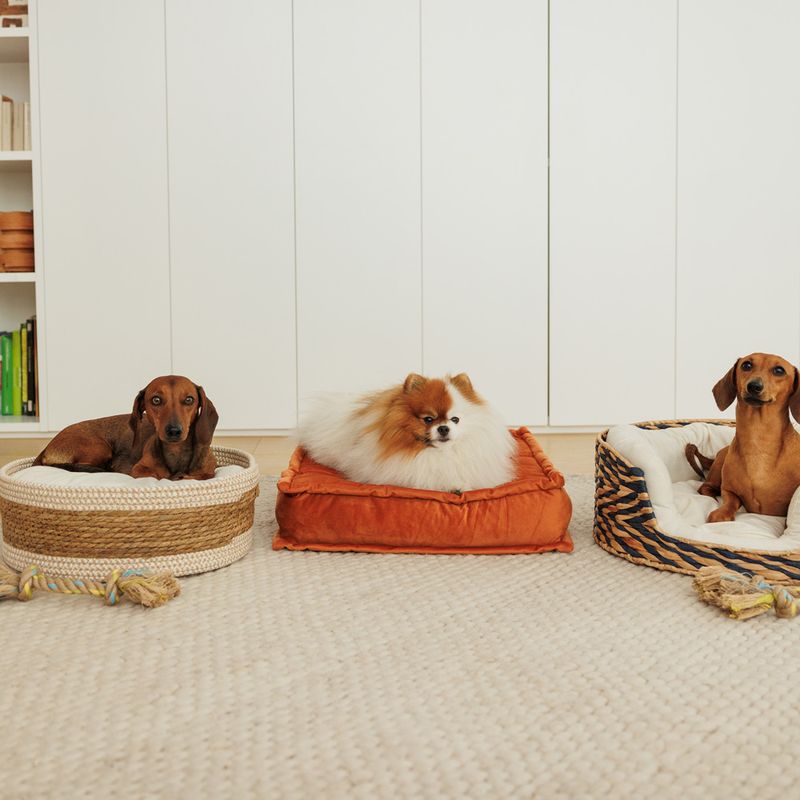 Modern Living Menorca Double Knot Rope Toy approx. 32 x 5 x 5cm (L x W x H)