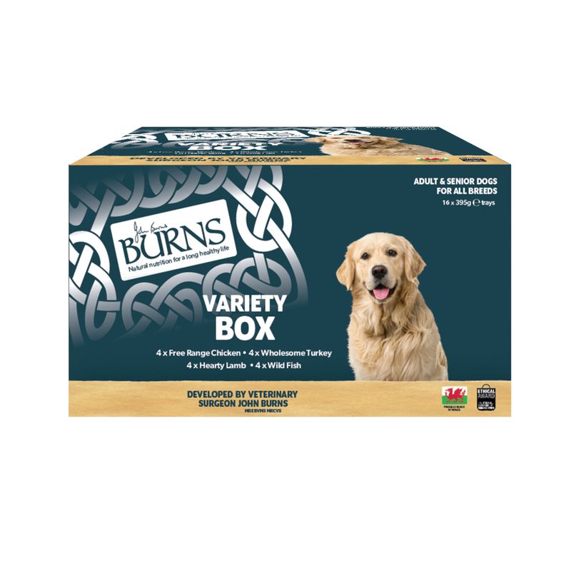Burns Wet Food for Dogs 16 x 395g Chicken