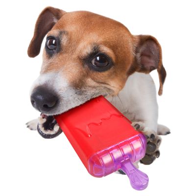 Flamingo Ice Lolly Dog Toy 15.5 x 6 x 3.5cm (L x W x H)