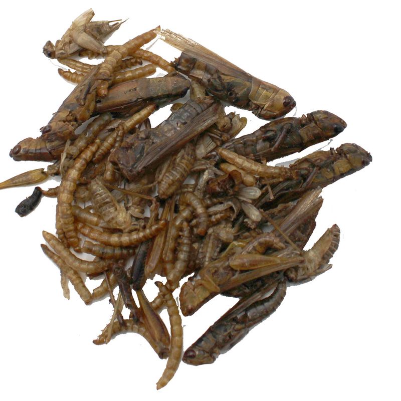 Hugro Protein Mix 60g