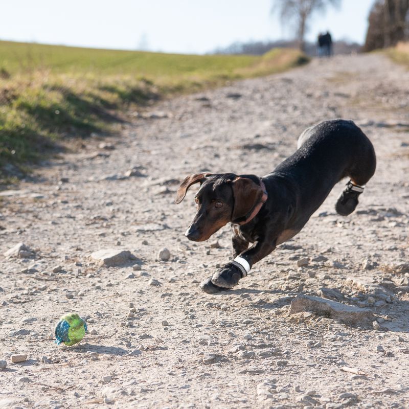 Sports & Protective Dog Boots XS (2)