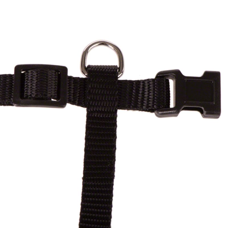 Kitten Harness with Lead Black