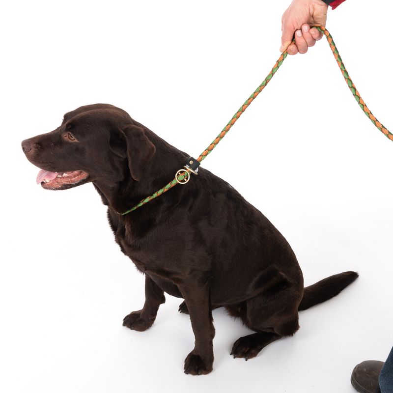 TIAKI Retriever Leash Twist 170 cm long, diameter 12 mm - green/brown