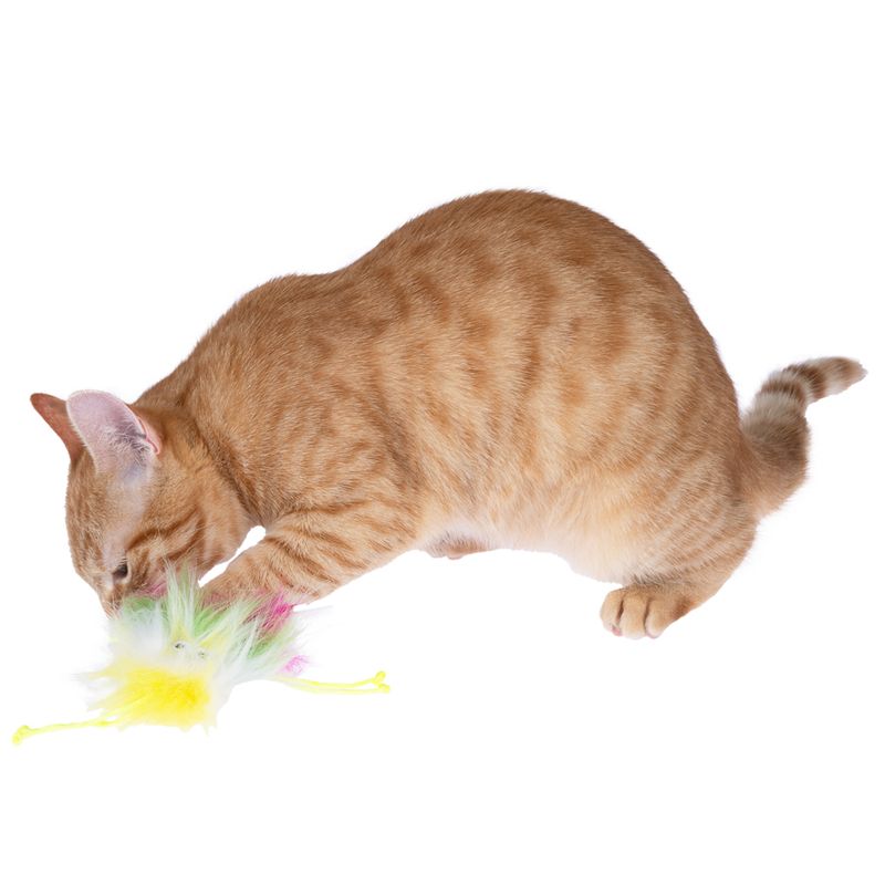 TIAKI Rainbow Monster Cat Toy 1 Toy