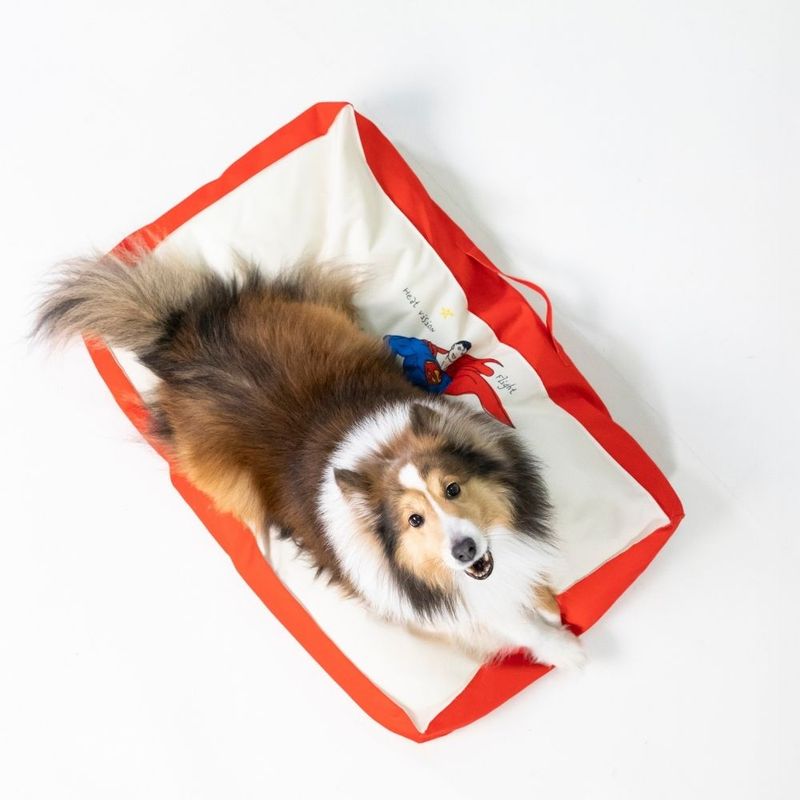 DC Superman Dog Mattress Size S: 80 x 50 x 15 cm (L x W x H)