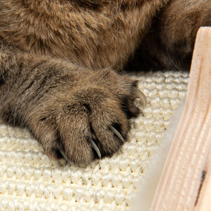 Natural Paradise Scratching Mat Cat Bed - Peony 41 x 30.5 x 32.5 cm (L x W x H)