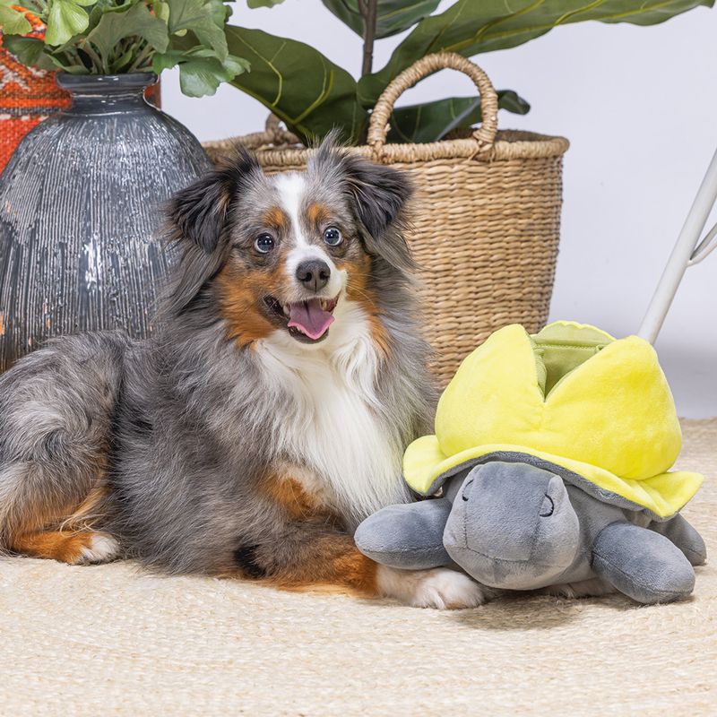 Beeztees Schildo Tortoise Dog Toy 1 Toy