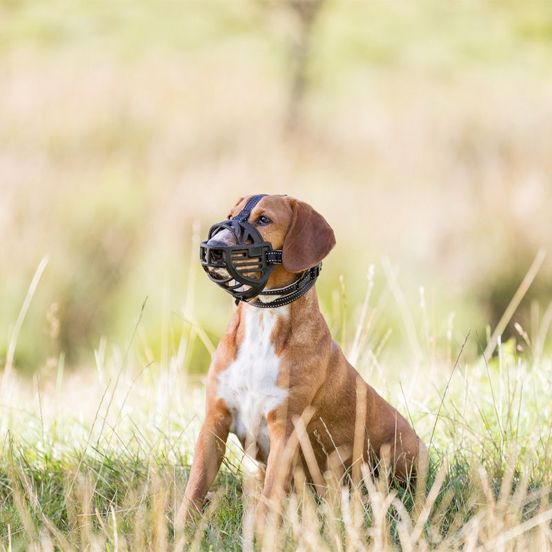Trixie Flex Rubber Muzzle Size S: Jack Russell, Miniature Poodle
