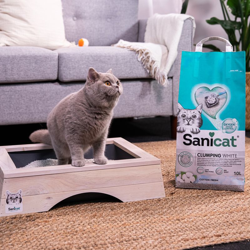 Sanicat Cotton Fresh Clumping White Cat Litter 10l