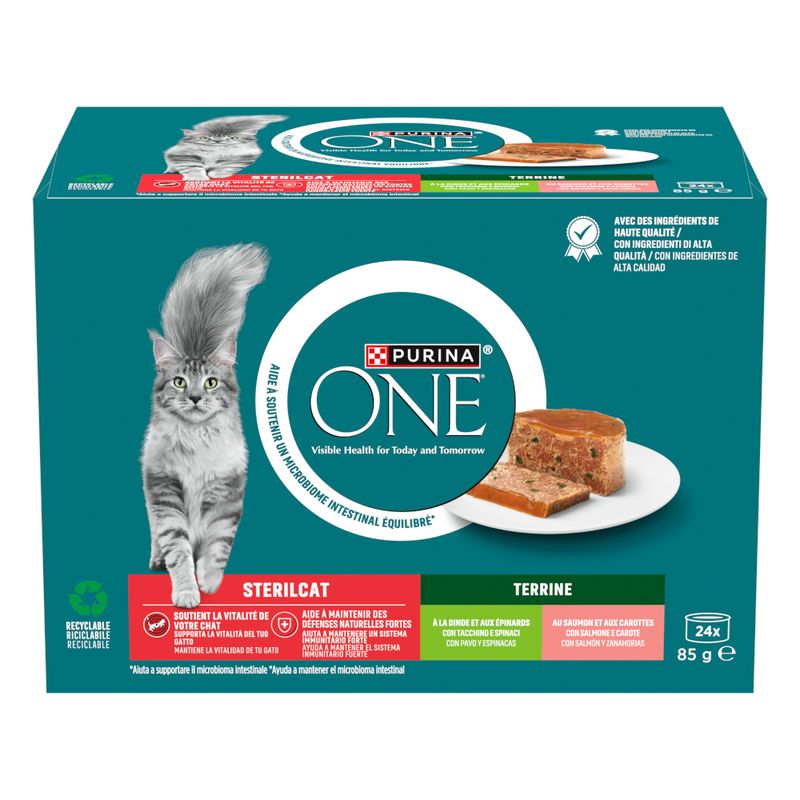 PURINA ONE SterilCat with Salmon & Carrots (13 x 85g)