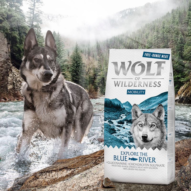 Wolf of Wilderness \