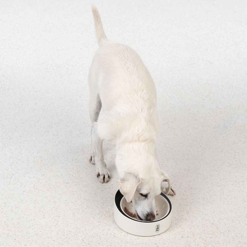 TIAKI Smart Bowl with Scales approx. 22 x 24.5 x 8 cm (L x W x H)