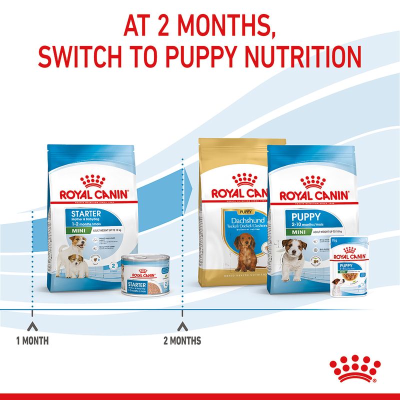 Royal Canin Mini Starter Mother & Babydog 4kg