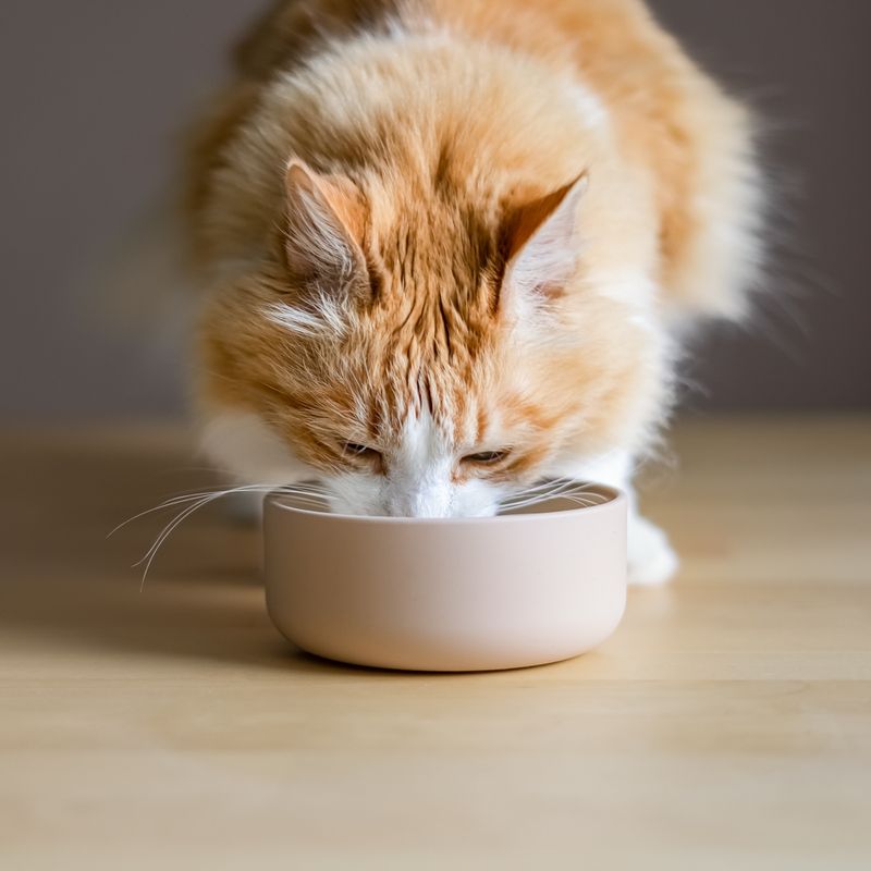 TIAKI Premium Silicone Bowl - Sand 350ml (11cm diameter)