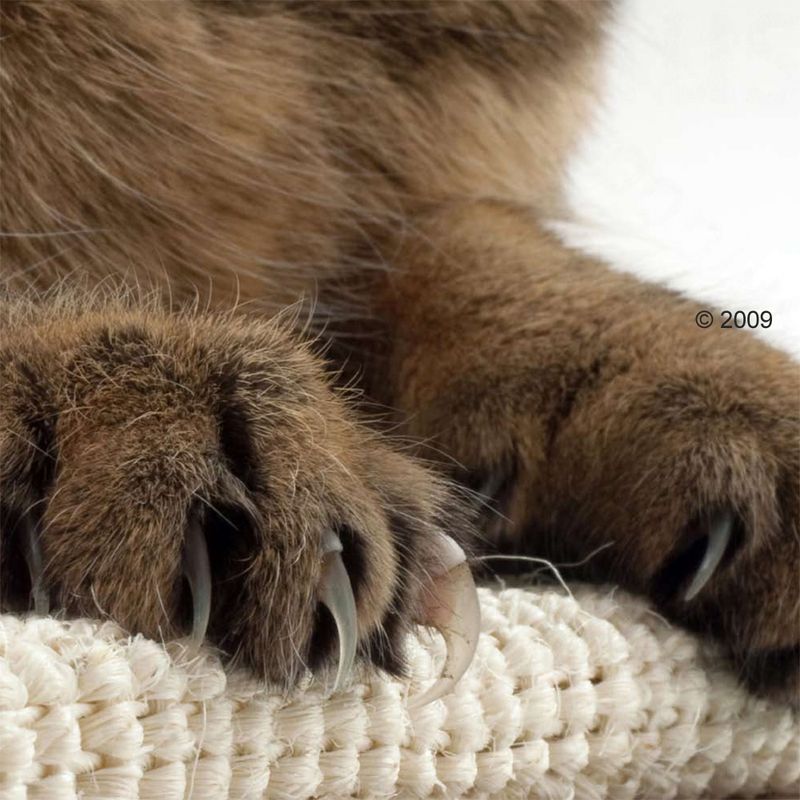 Trixie Sisal Cat Scratching Board 70 x 17 cm